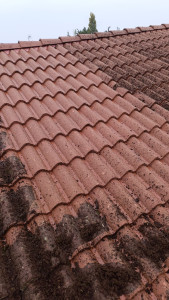 Photo de galerie - Mettoyage toiture avec traitement 