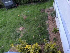 Photo de galerie - Création d'un massif arbustif et fleuri avec des plantes vivaces et des arbustes délimité par une bande écolat et du paillage de chanvre