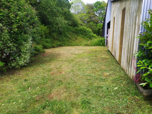 Photo de galerie - Tonte de pelouse - Débroussaillage