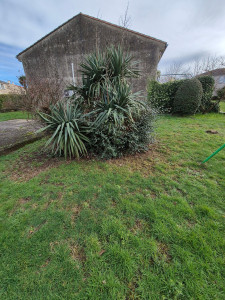 Photo de galerie - Rabbatage d'une massif