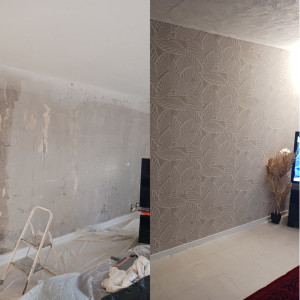 Photo de galerie - Avant/Après 