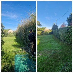 Photo de galerie - Taille de haie 