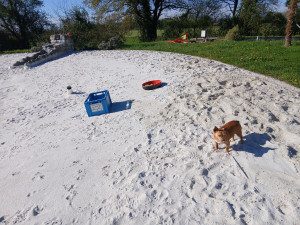 Photo de galerie - Désherbage d'un lagon