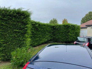 Photo de galerie - Avant 