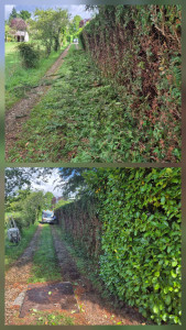 Photo de galerie - Avant apres + Ramassage 