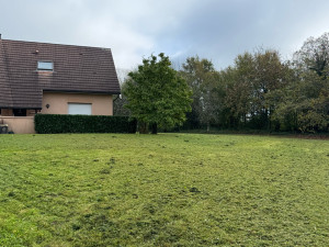 Photo de galerie - Tonte + taille de haie