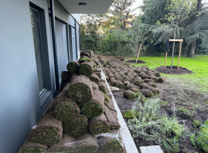 Photo de galerie - Pose de gazon