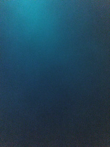 Photo de galerie - Ras