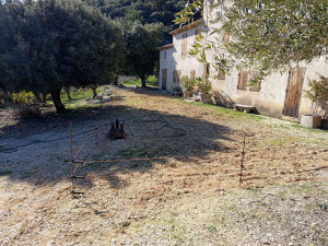 Photo de galerie - Clôture sangliers 