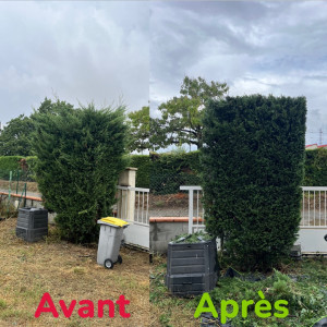 Photo de galerie - Chantier sur Carbonne 1/2