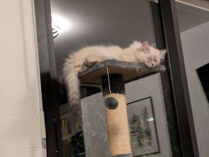 Photo de galerie - Helios d'amour