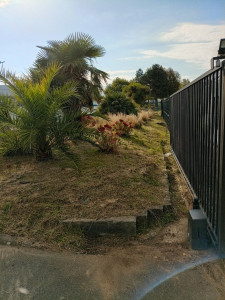 Photo de galerie - Tonte de pelouse - Débroussaillage