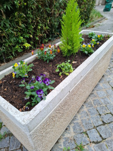 Photo de galerie - Fleurisement 