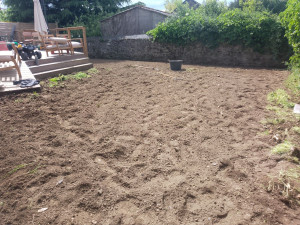 Photo de galerie - Paysagiste - Aménagement du jardin