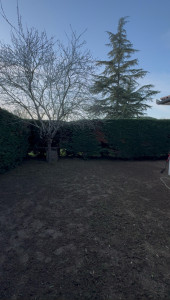 Photo de galerie - Création d’un gazon 