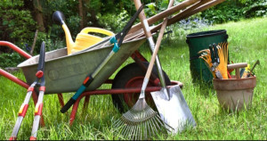 Photo de galerie - Entretien de jardin et nettoyage exterieur