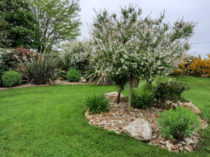 Photo de galerie - Jardinier