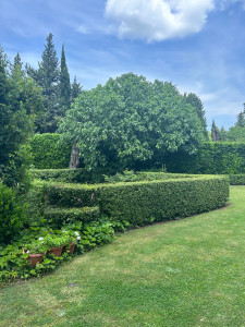 Photo de galerie - Taille de haie