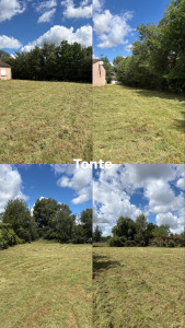 Photo de galerie - Tonte