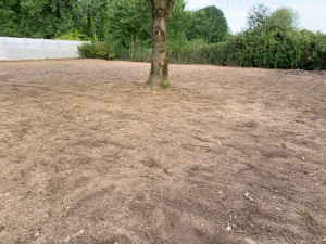 Photo de galerie - Semis pelouse 