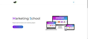 Photo de galerie - Page d’accueil d’un client qui voulait un site dans le domaine du marketing en ligne