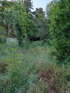 Photo de galerie - Avant 