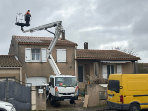 Photo de galerie - Traitement