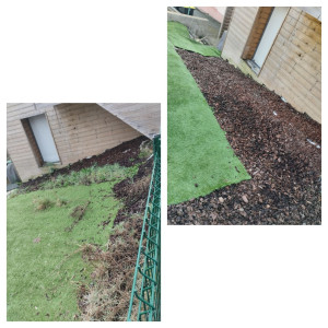 Photo de galerie - Nettoyage de terrain plus précisément arrachage de mauvaise herbes