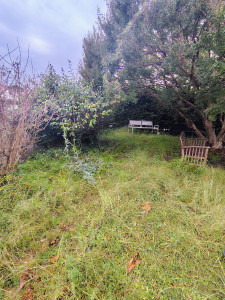 Photo de galerie - Tonte de pelouse - Débroussaillage