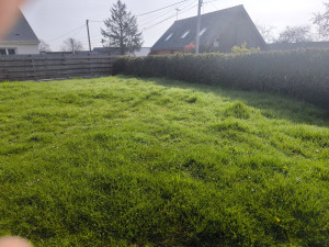 Photo de galerie - Tonte de pelouse - Débroussaillage