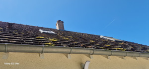 Photo de galerie - Couverture - Toiture