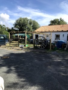 Photo de galerie - Paysagiste - Aménagement du jardin