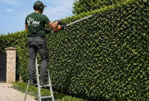 Photo de galerie - Paysagiste - Aménagement du jardin
