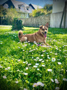 Photo de galerie - Détente dans le jardin 