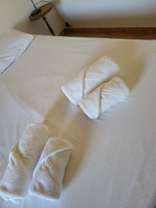 Photo de galerie -  .