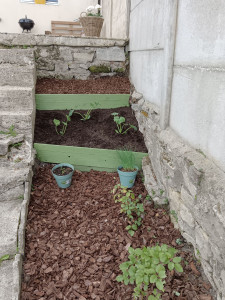 Photo de galerie - Création de massif, à la place d'une pente remplie de cailloux 