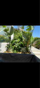Photo de galerie - Remplacement et plantation dans une jardinière 