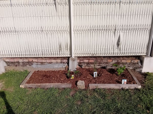 Photo de galerie - Paysagiste - Aménagement du jardin