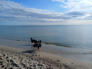 Photo de galerie - Randonnée a la mer

