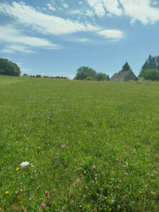 Photo de galerie - Tonte de terrain, paysagisme