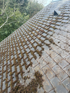 Photo de galerie - Démoussage dalep 2100 sur ardoise fibro