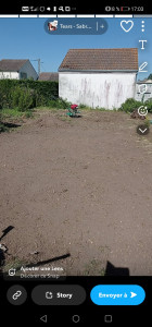 Photo de galerie - Engazonnement