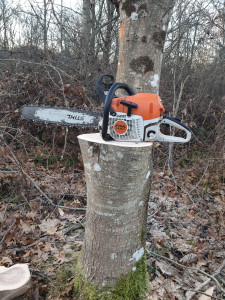 Photo de galerie - Coupe de bois de chauffage 