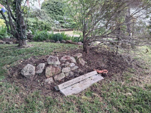 Photo de galerie - Tonte de pelouse - Débroussaillage