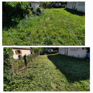 Photo de galerie - Tonte de pelouse - Débroussaillage
