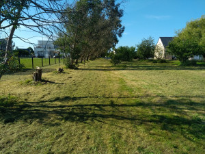 Photo de galerie - Chantier de tonte haute 