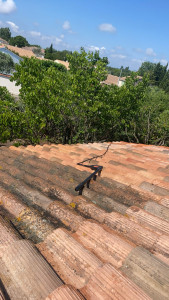 Photo de galerie - Nettoyage toiture + anti-mousse