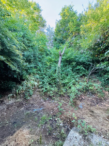Photo de galerie - Le avant d une remise en état d un jardin 