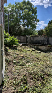 Photo de galerie - Débroussaillage 