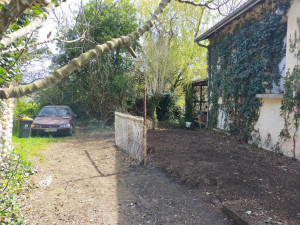 Photo de galerie - Tonte de pelouse - Débroussaillage